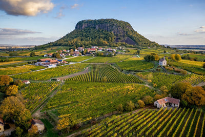 Somló: Der einsame Vulkanberg und die legendäre Heimat mineralischer Spitzenweine