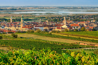Sopron – Kékfrankos & Rotweine am Neusiedler See | S´nobel Wines