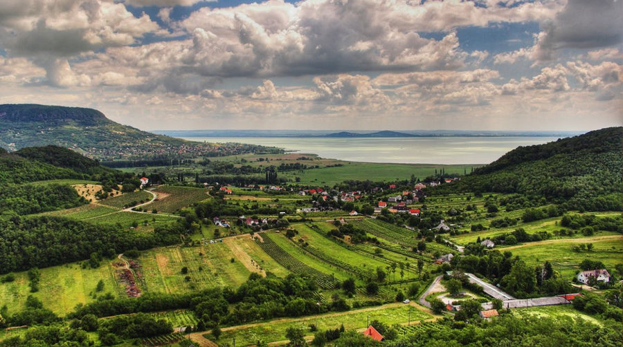 Balatonfüred-Csopak:      Wo Tradition, Kalkstein und der Balaton elegante Weißweine von unverwechselbarem Charakter hervorbringen 