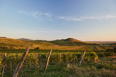 Mád:       Das Herz der großen Tokajer Terroirs – wo Vulkanboden, Tradition und Präzision aufeinandertreffen 