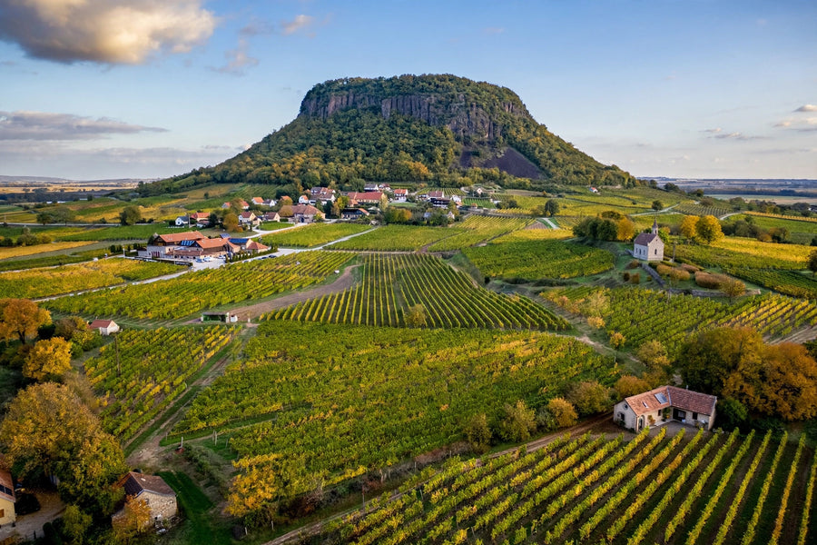 Somló:          Der einsame Vulkanberg und die legendäre Heimat mineralischer Spitzenweine