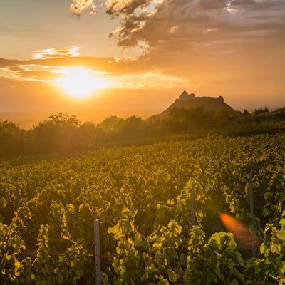 Balaton-Felvidék (Balaton-Hochland):     Wo ursprüngliche Landschaft, vulkanische Böden und stille Eleganz zusammenfinden  