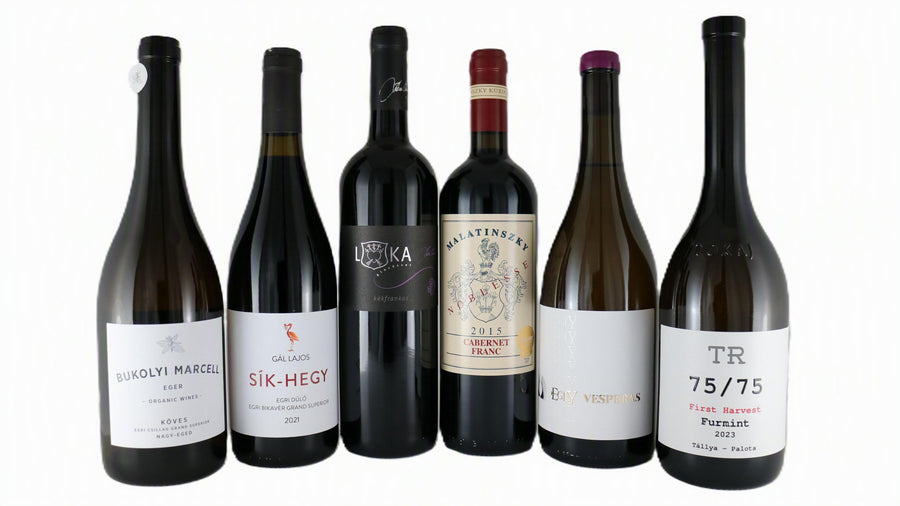 Premium Weinset – Weinreise durch Ungarn